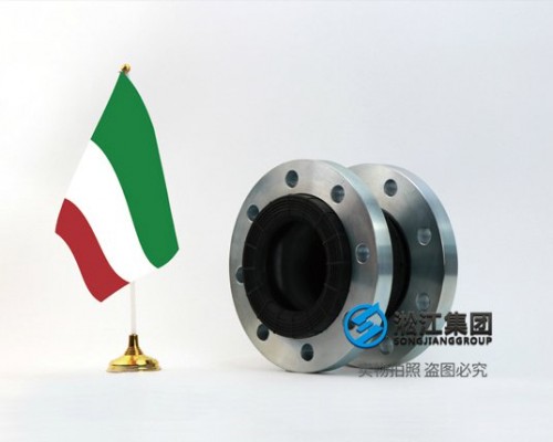 UNI 2277-67 PN10 意大利标准橡胶膨胀节